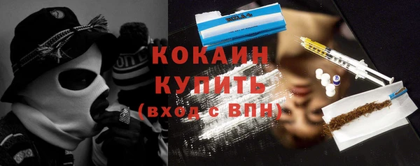 дживик Абаза
