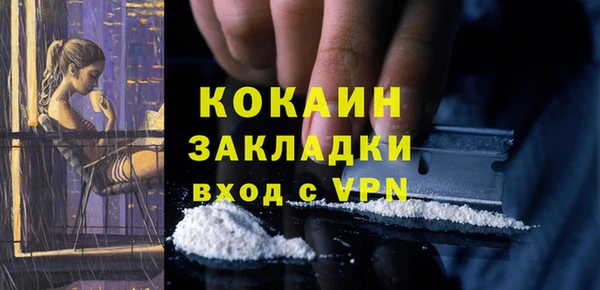 дживик Абаза