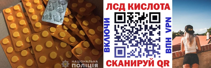 kraken вход  Фрязино  Лсд 25 экстази ecstasy 